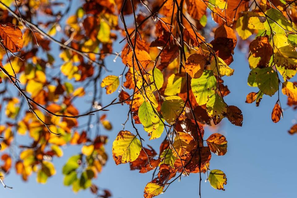 Herbstliches Wetter Herbstliches Wetter