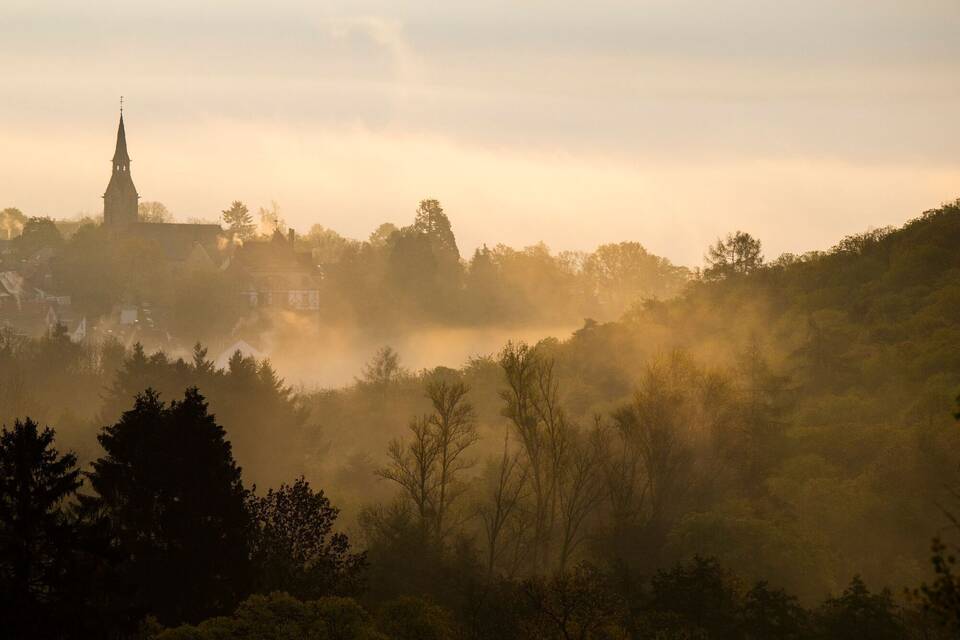 Frühnebel im Taunus Frühnebel im Taunus