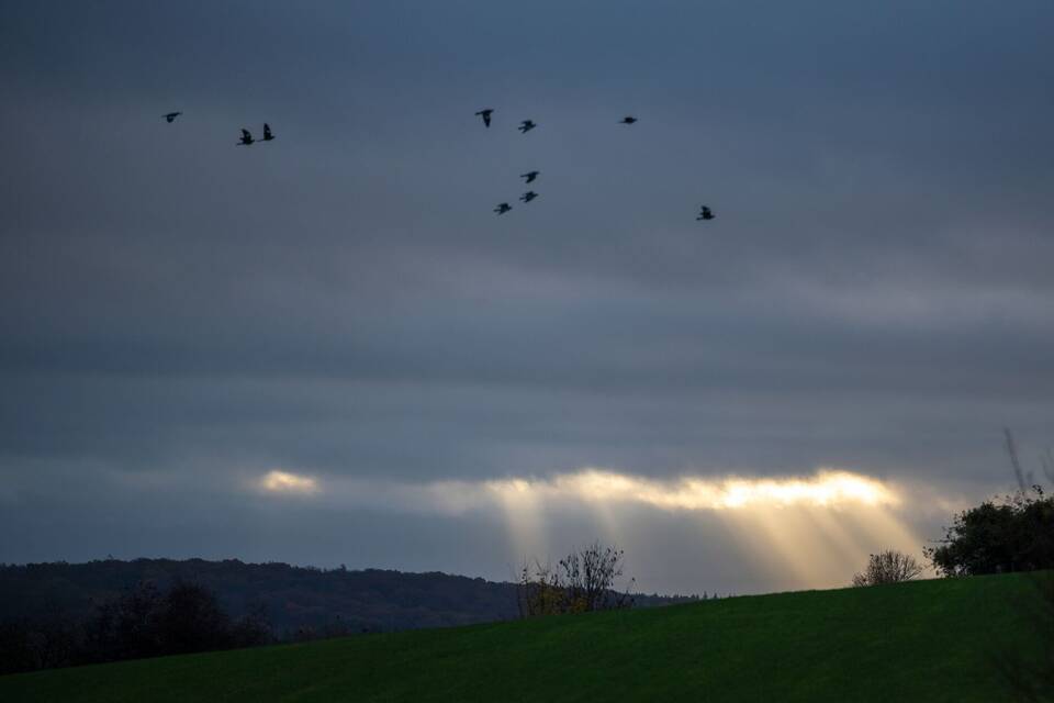 Wetter-Aussichten