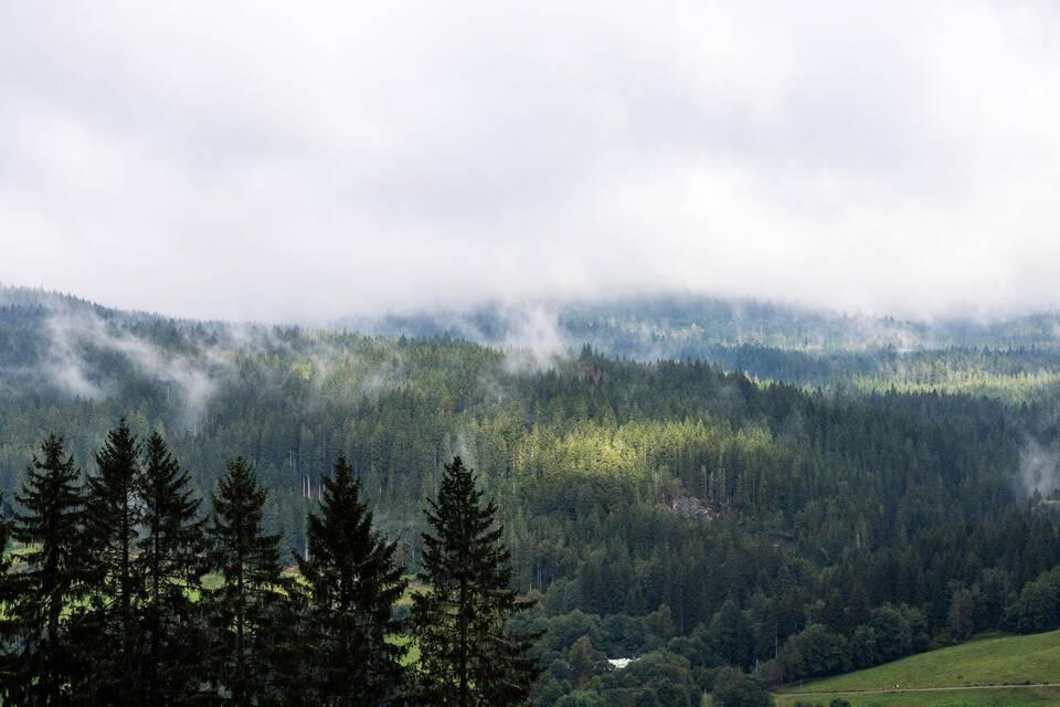 Wetter im Hochschwarzwald Wetter im Hochschwarzwald
