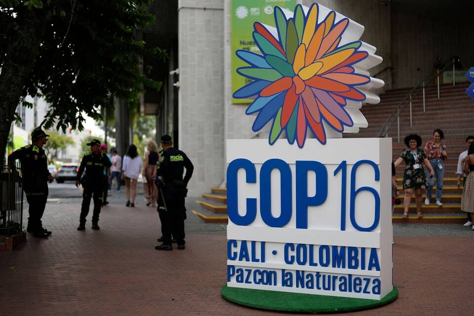Vor der Weltnaturkonferenz COP16 Vor der Weltnaturkonferenz COP16