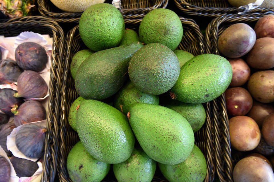 Globaler Heißhunger auf Avocado zerstört Wälder in Mexiko Globaler Heißhunger auf Avocado zerstört Wälder in Mexiko