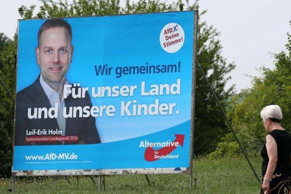 AfD-Plakat