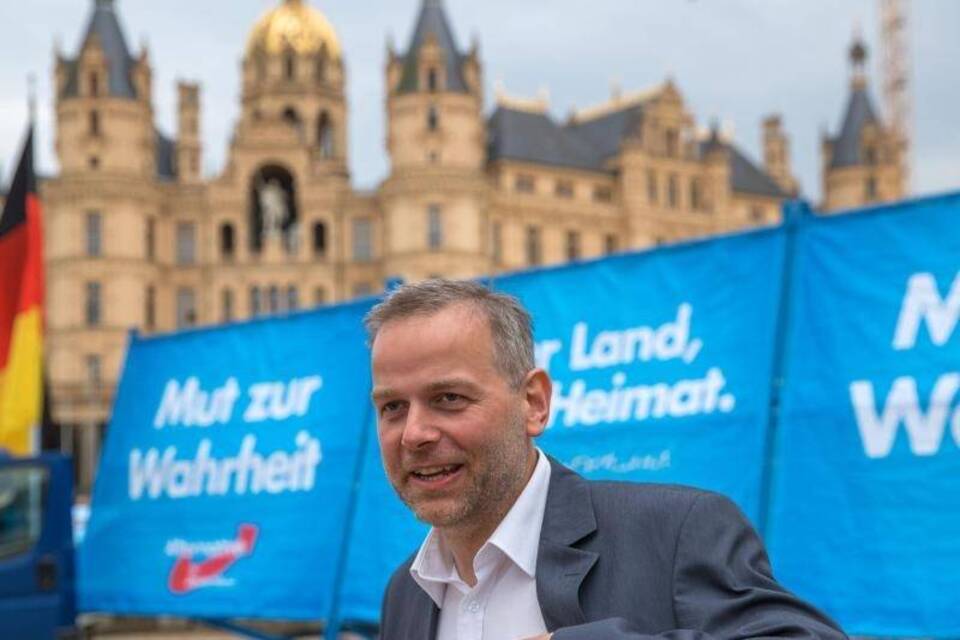 Spitzenkandidat der AfD Spitzenkandidat der AfD