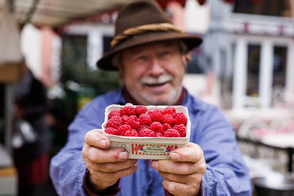 Ernte von Himbeeren Mitte November