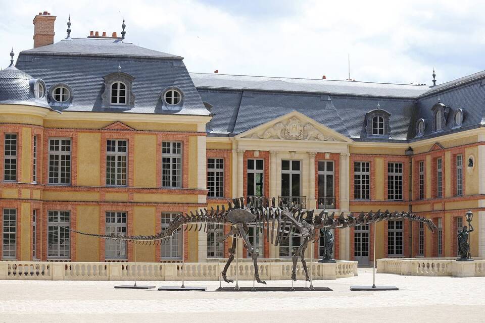 Dinosaurier-Skelett für 4,7 Millionen Euro in Paris versteigert Dinosaurier-Skelett für 4,7 Millionen Euro in Paris versteigert