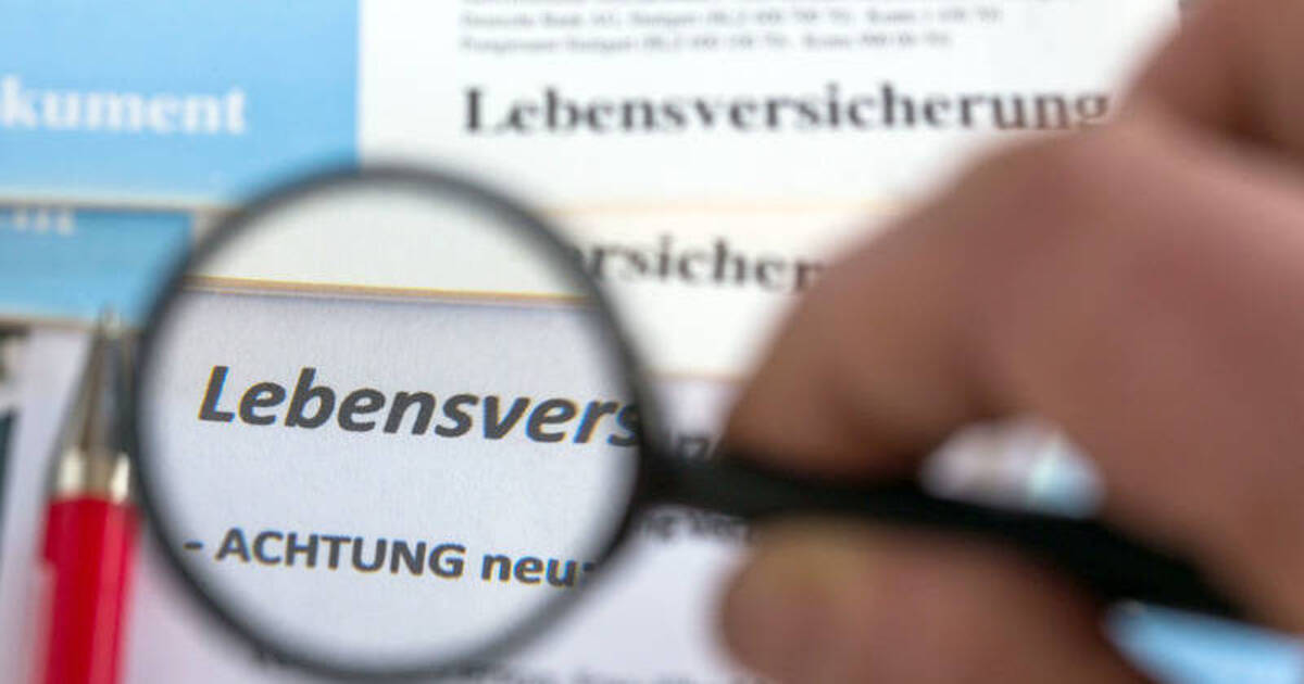 Faktencheck Lebensversicherung Faktencheck Lebensversicherung