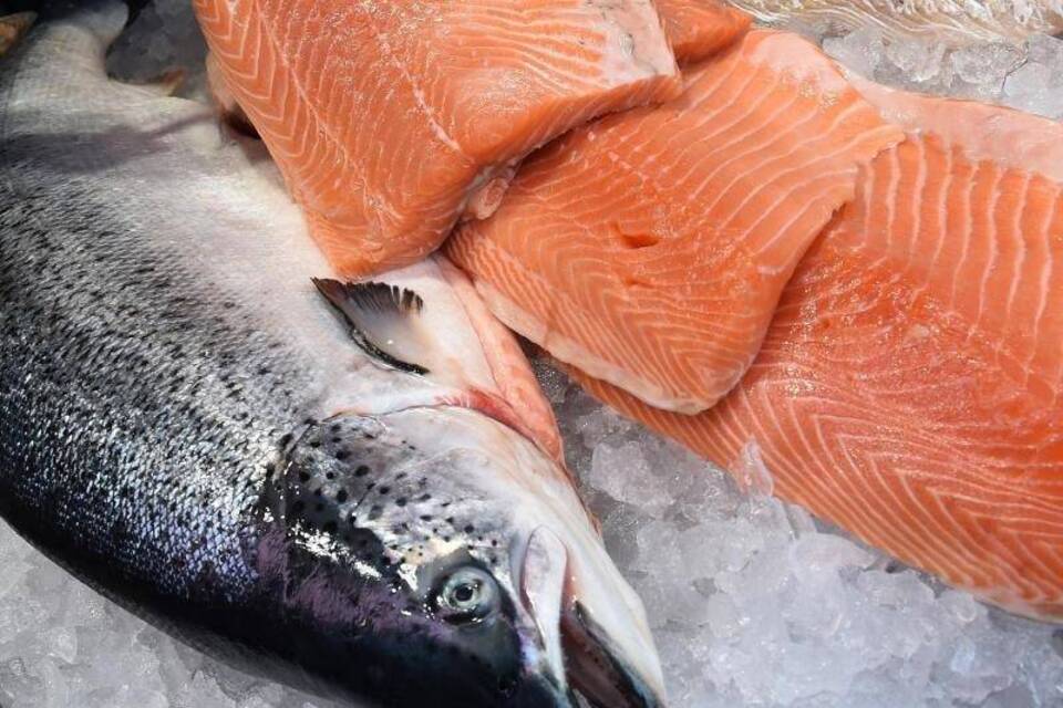 Lachs Lachs