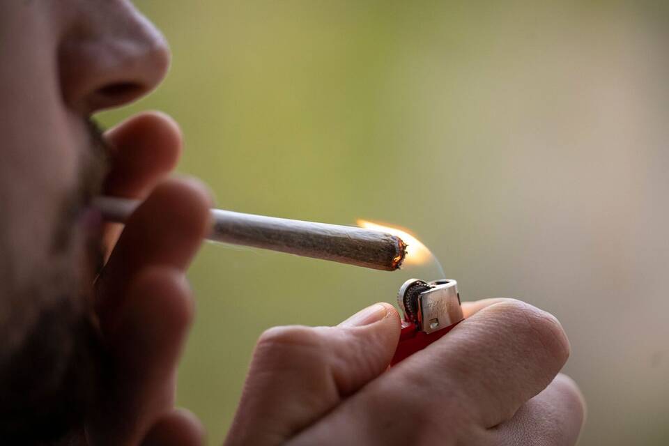 Cannabiskonsum Cannabiskonsum
