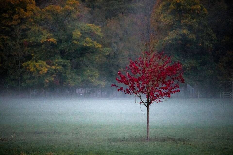 Herbstliches Wetter am Abend