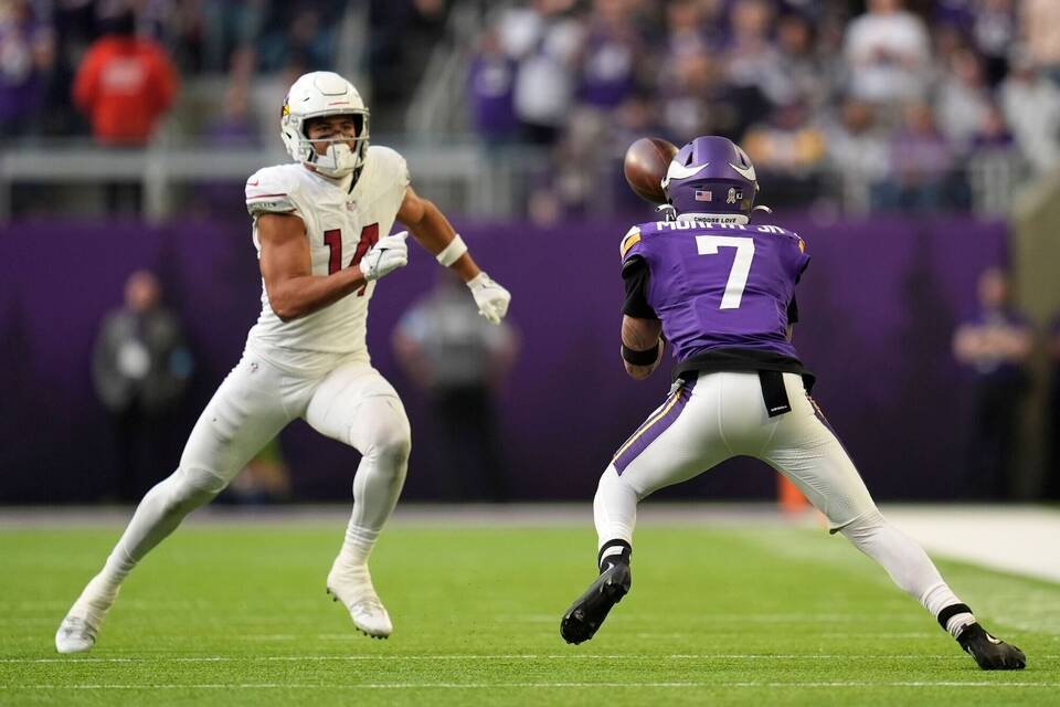 Minnesota Vikings - Arizona Cardinals Minnesota Vikings - Arizona Cardinals