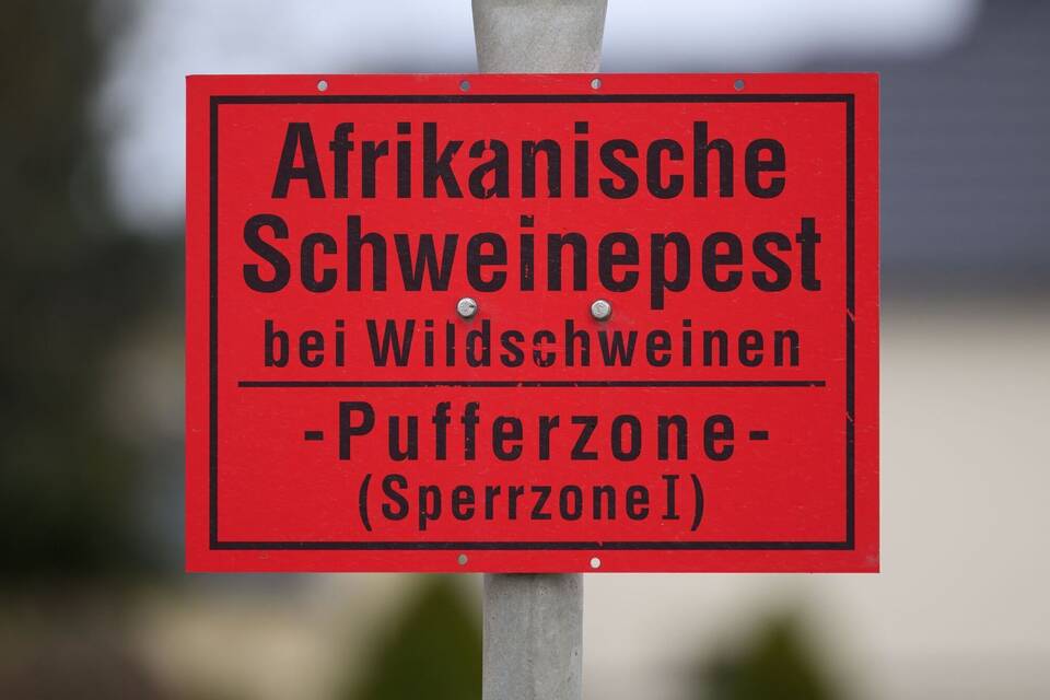 Tierseuchenübung zur Afrikanischen Schweinepest Tierseuchenübung zur Afrikanischen Schweinepest