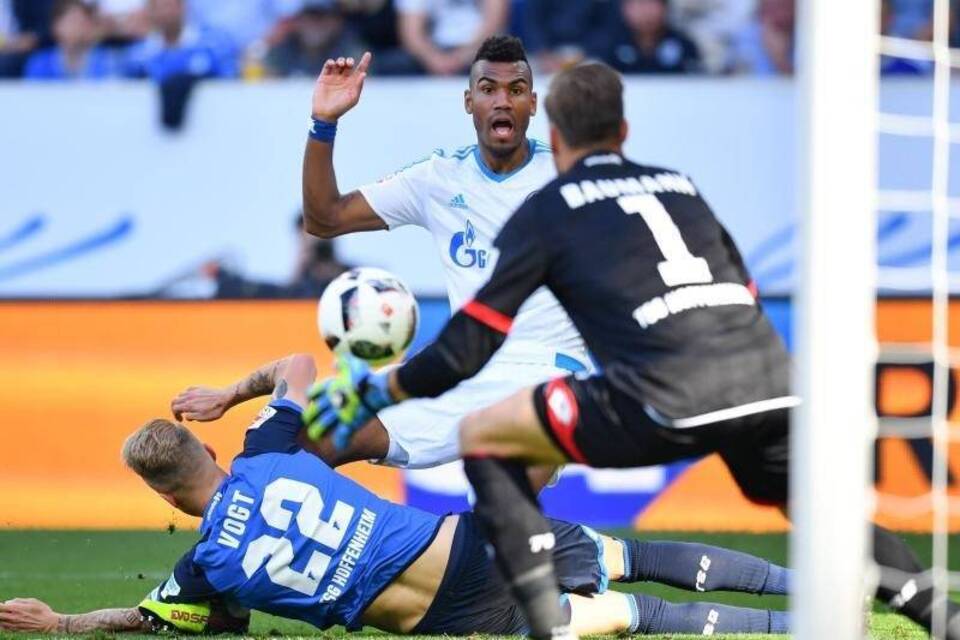1899 Hoffenheim - FC Schalke 04 1899 Hoffenheim - FC Schalke 04