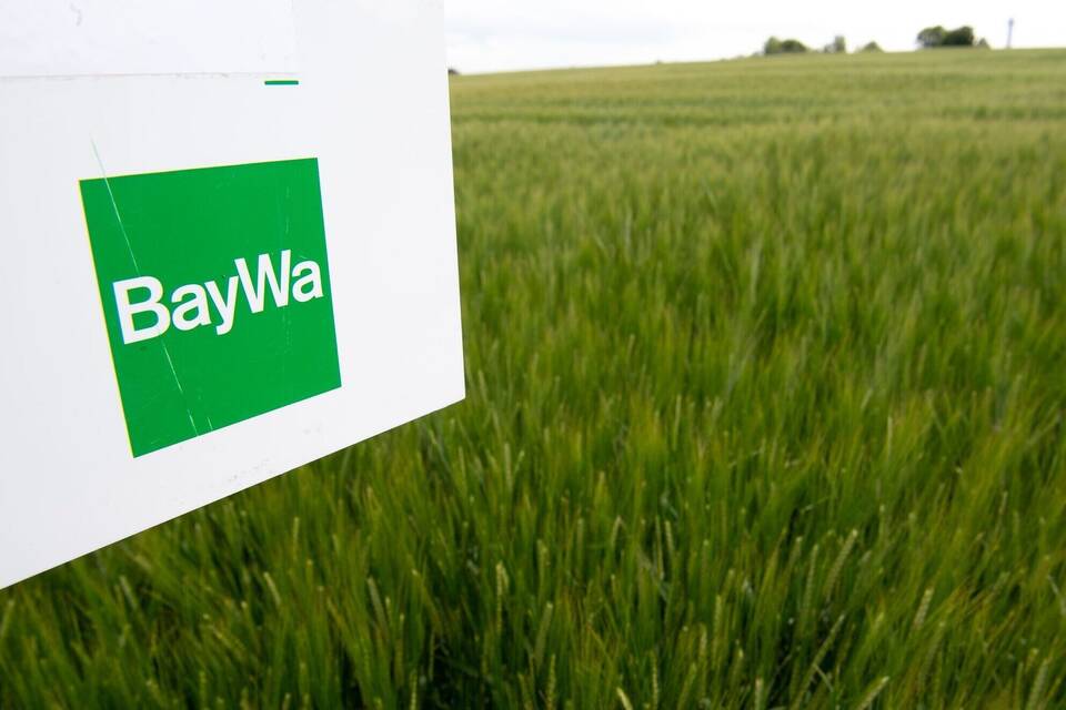 BayWa 