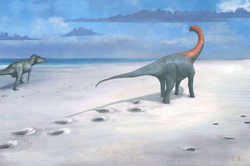 Dinosaurier-Fußspuren in England Dinosaurier-Fußspuren in England