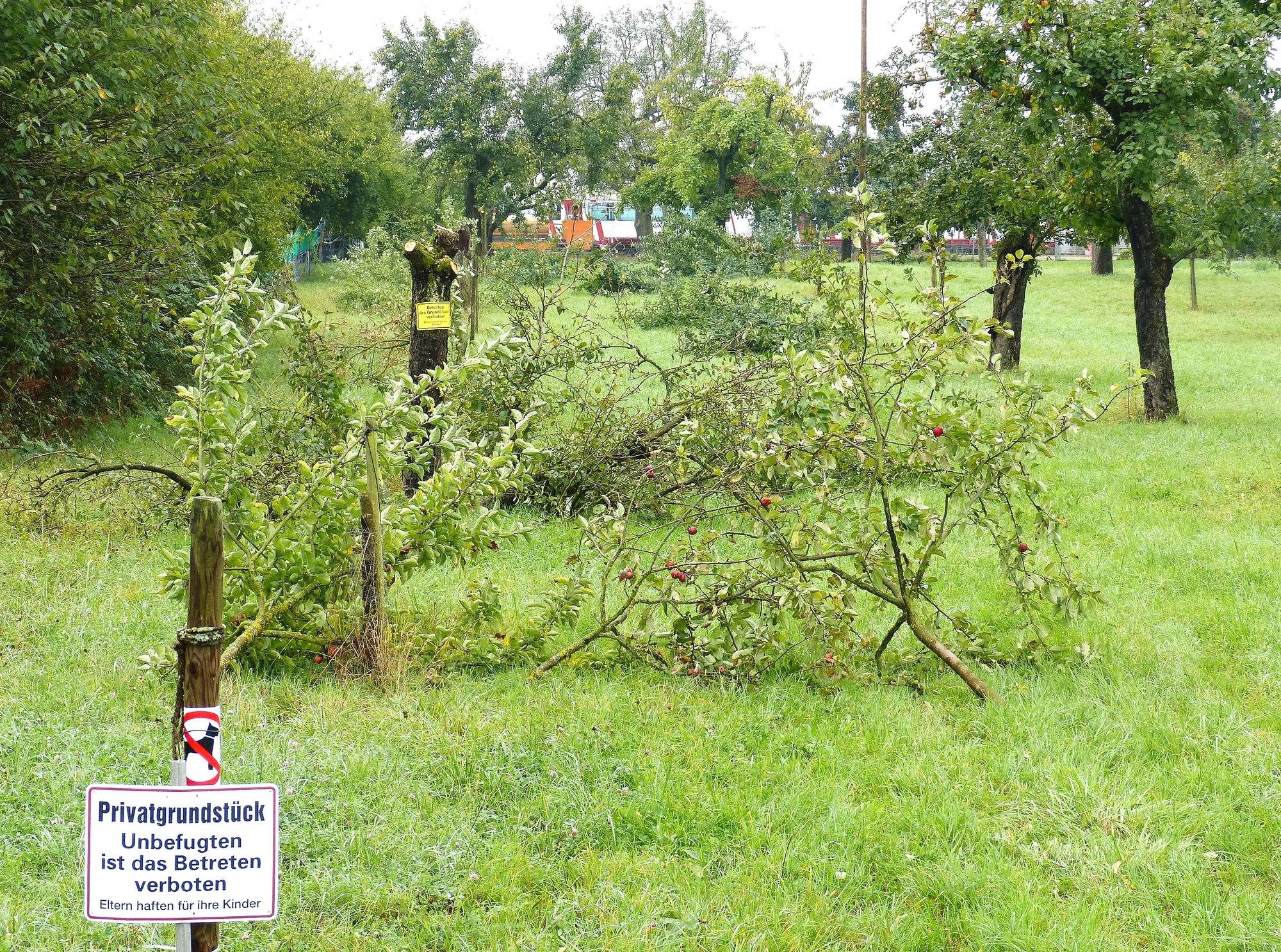 Edingen Neckarhausen Grundstucksbesitzer Im Mittelgewann Darf