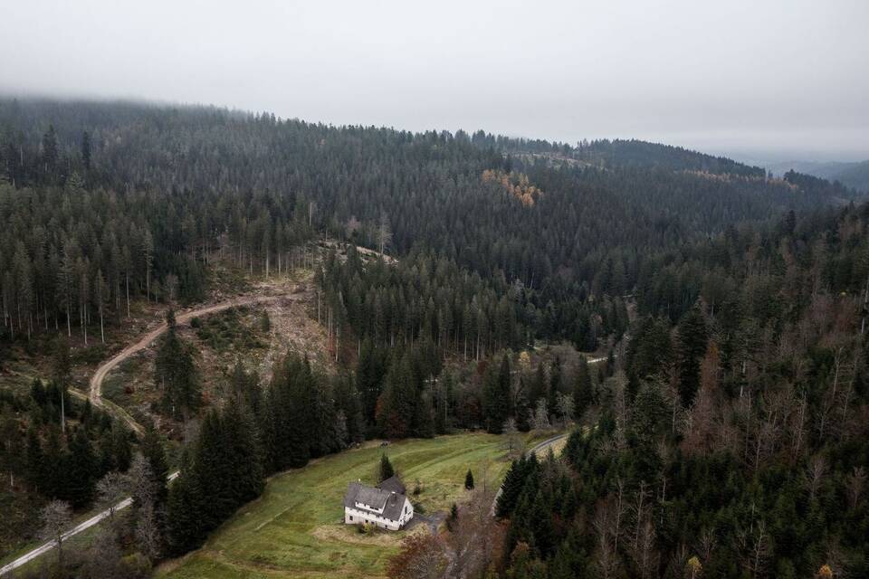 Erweiterung Nationalpark Schwarzwald
