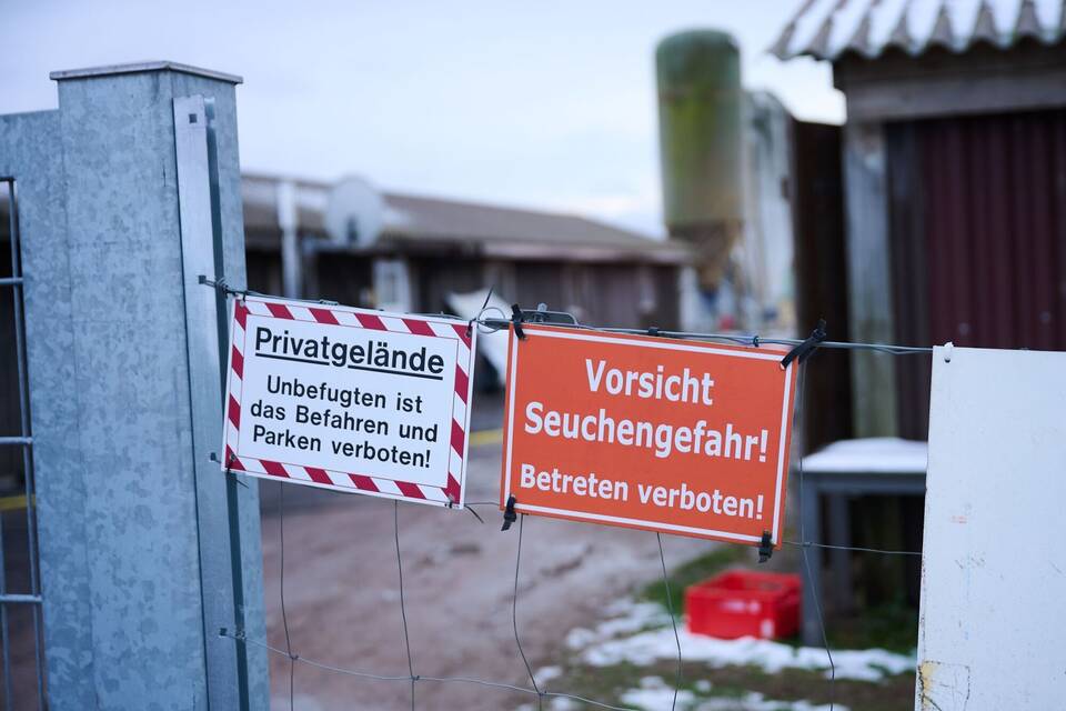 Maul- und Klauenseuche in Brandenburg Maul- und Klauenseuche in Brandenburg