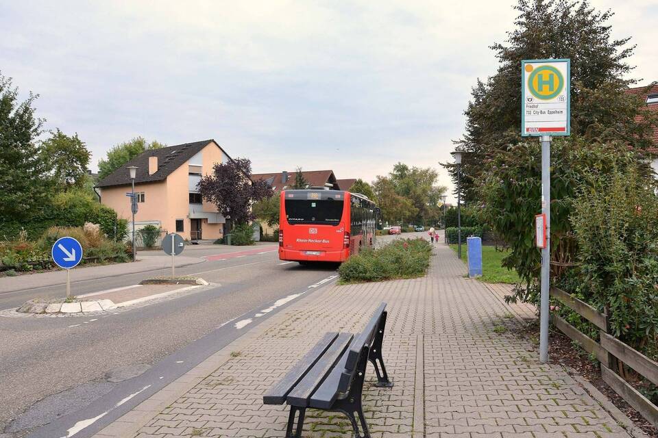 Buslinie 732 Wie ist das nun mit dem behindertengerechten Bus? Rhein