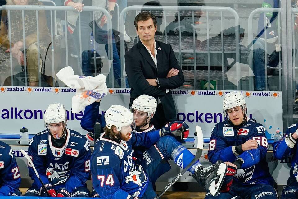 Adler Mannheim - Eisbären Berlin Adler Mannheim - Eisbären Berlin