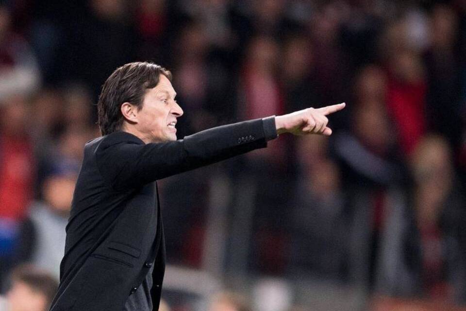 Bayer-Coach Bayer-Coach