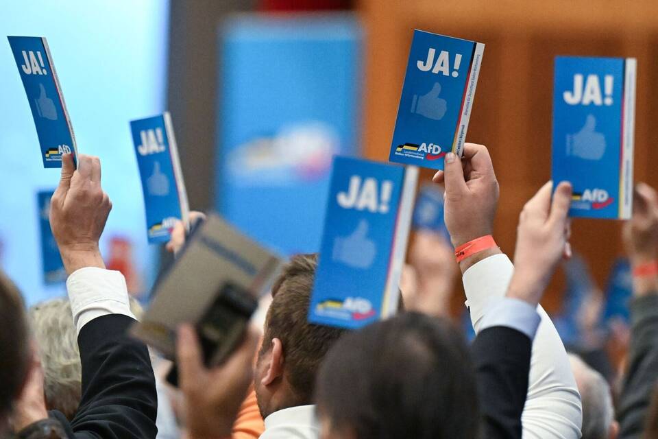 Landesparteitag AfD Baden-Württemberg Landesparteitag AfD Baden-Württemberg