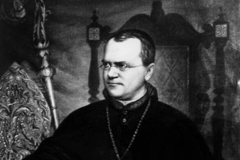 Vater der Genetik - 150 Jahre Mendelsche Regeln der Vererbung Vater der Genetik - 150 Jahre Mendelsche Regeln der Vererbung
