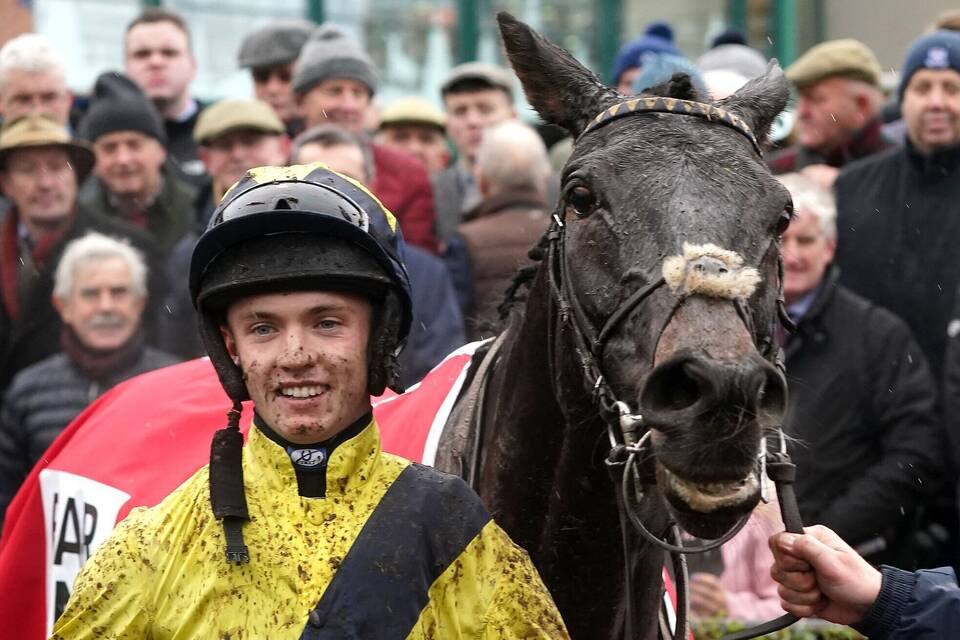 Jockey Michael O'Sullivan nach Sturz gestorben Jockey Michael O'Sullivan nach Sturz gestorben