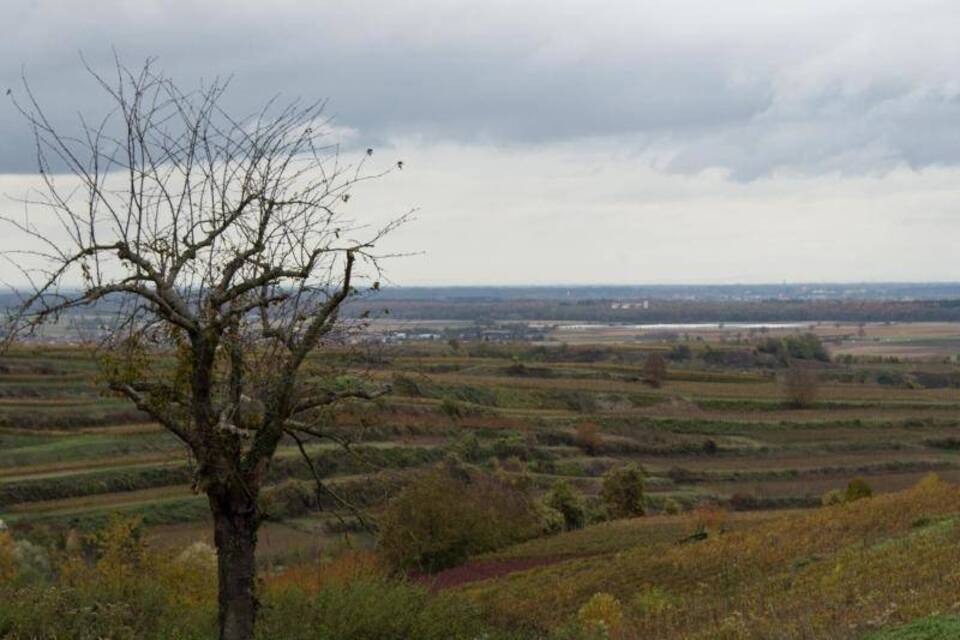 Endingen Endingen