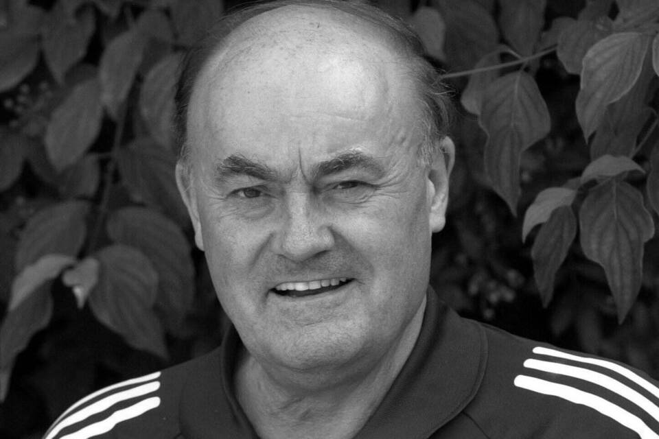 DFB-Schiedsrichter Roth