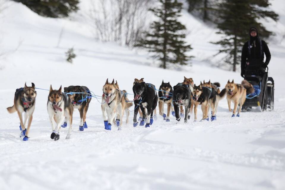 Iditarod-Schlittenhunderennen Iditarod-Schlittenhunderennen