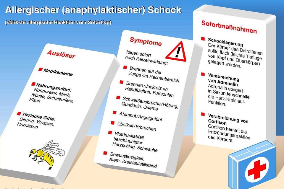 Wie Lange Dauert Es Bis Zum Allergischen Schock www.rnz.de