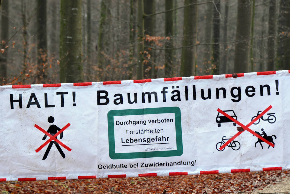 Bergstrasse Sperrungen Bei Baumschnitt An Der B3 Moglich