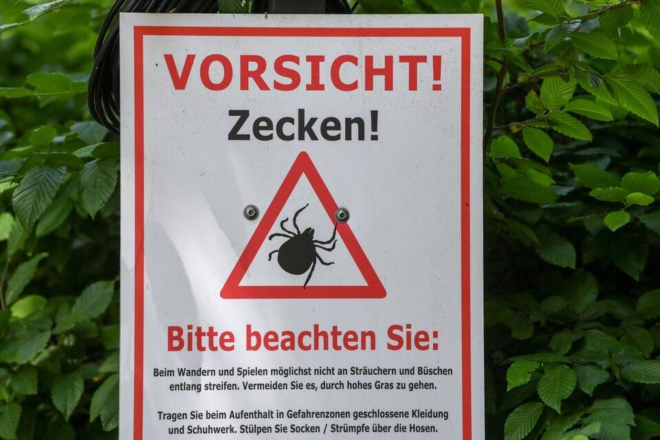 Warnung vor Zecken