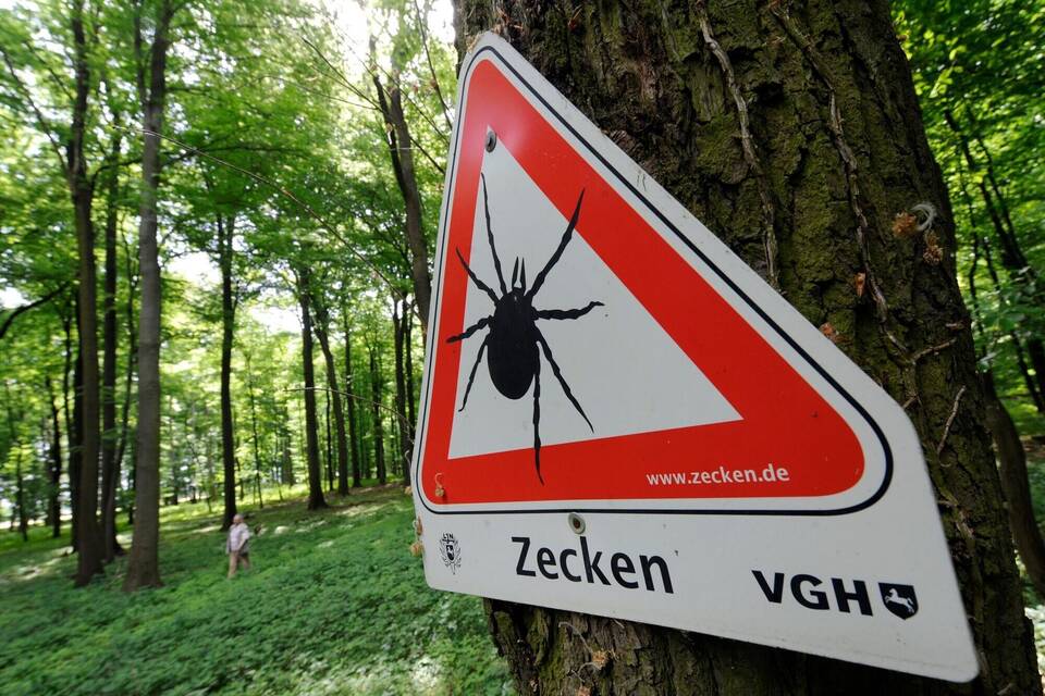 Zecken-Gefahr in Niedersachsen