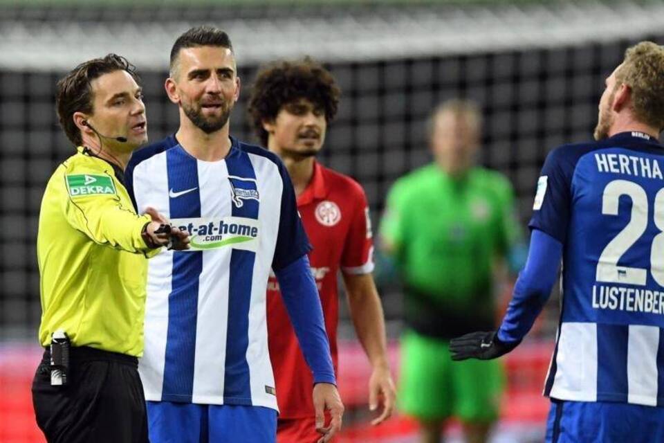 Vedad Ibisevic Vedad Ibisevic
