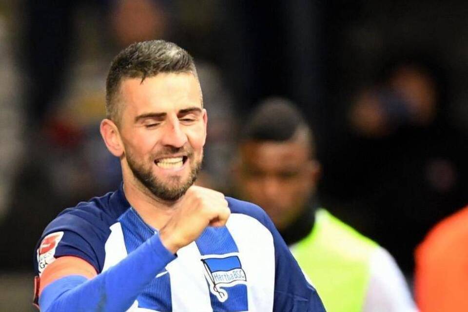Vedad Ibisevic Vedad Ibisevic