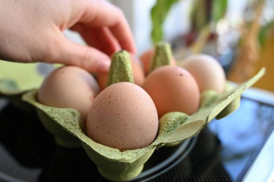 Eier-Konsum