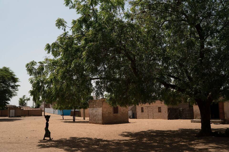 Grüne Megaprojekte - Große Grüne Mauer in Afrika