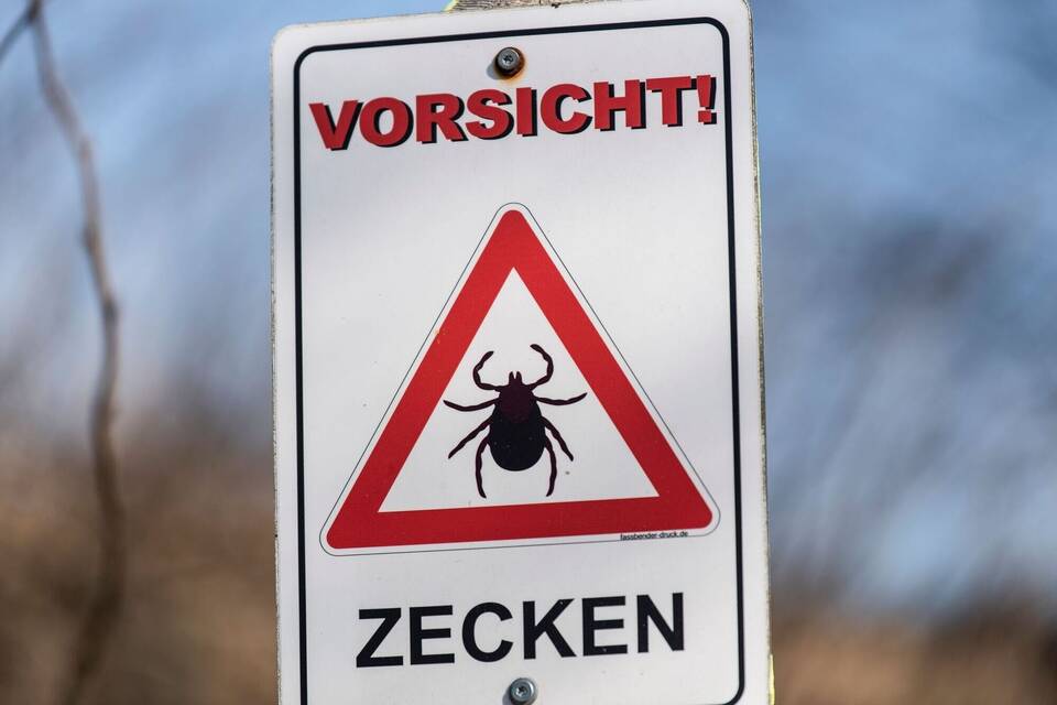 Zeckenzeit Zeckenzeit