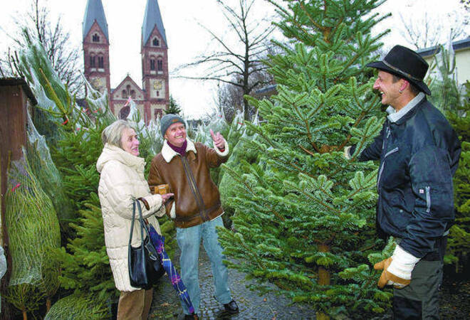 Tannenbaum Verkauf Startet Ab Freitag Nachrichten Aus Heidelberg Rnz