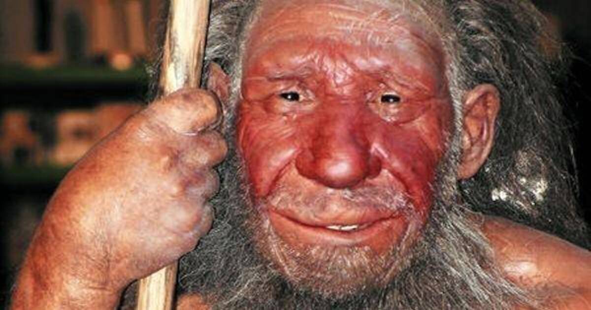 Von Neandertalern Denisovanern Und Uns Wissenschaft Regional Rnz