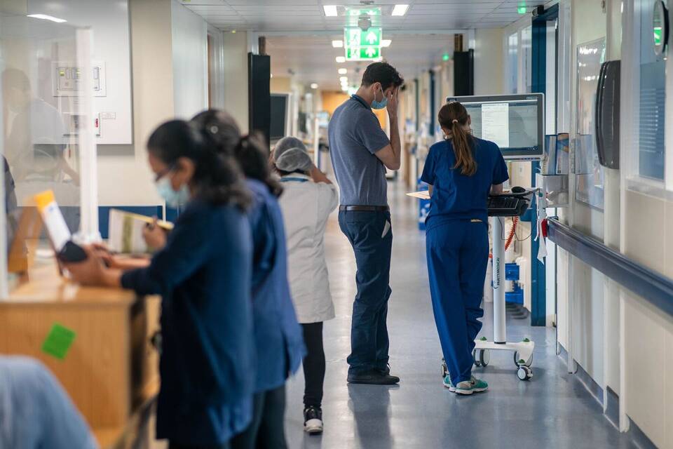 NHS-Krankenhäuser werden von Schädlingen geplagt NHS-Krankenhäuser werden von Schädlingen geplagt