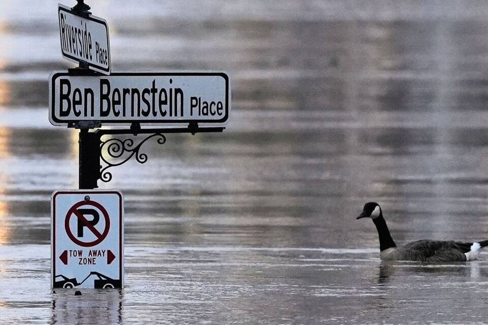 Tote bei Unwettern in den USA Tote bei Unwettern in den USA