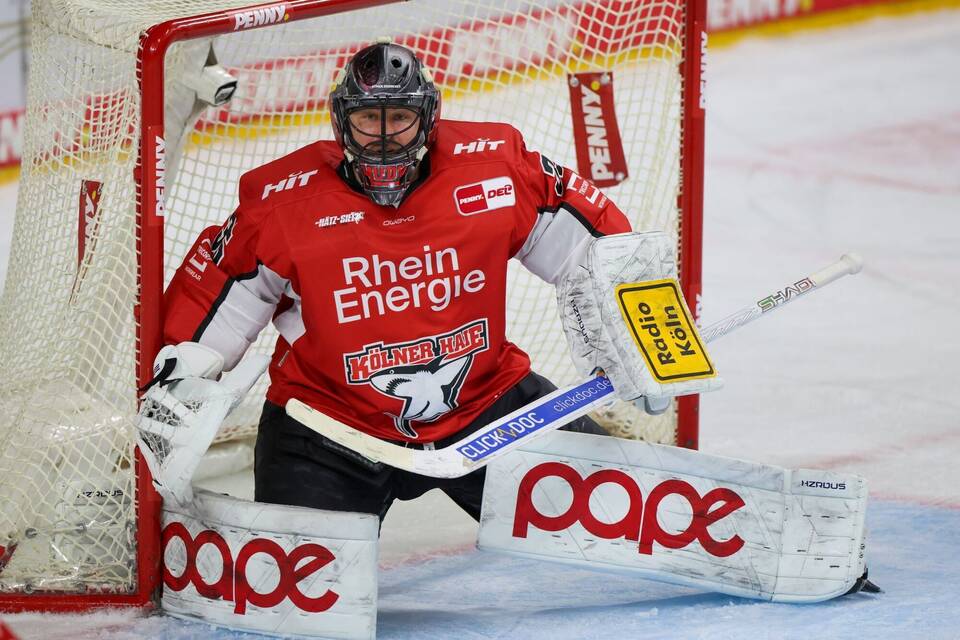 Kölner Haie - Pinguins Bremerhaven Kölner Haie - Pinguins Bremerhaven