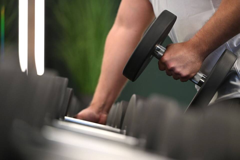 Hantelbank im Fitnessstudio Hantelbank im Fitnessstudio