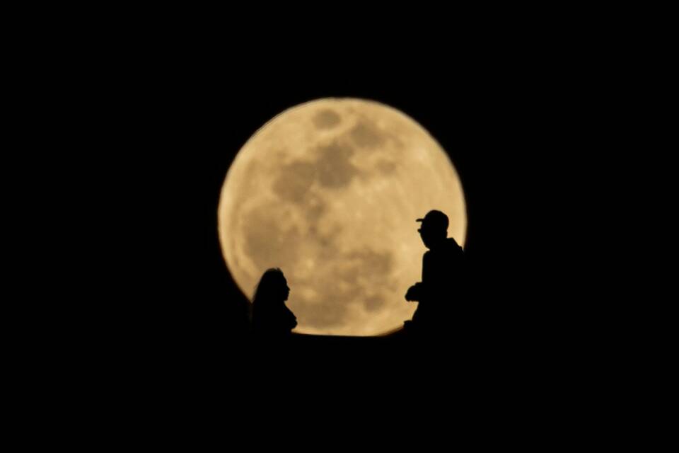 Looking in the moon 