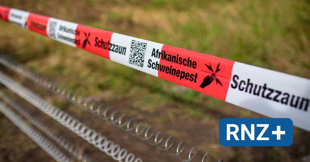 125x125 www.rnz.de