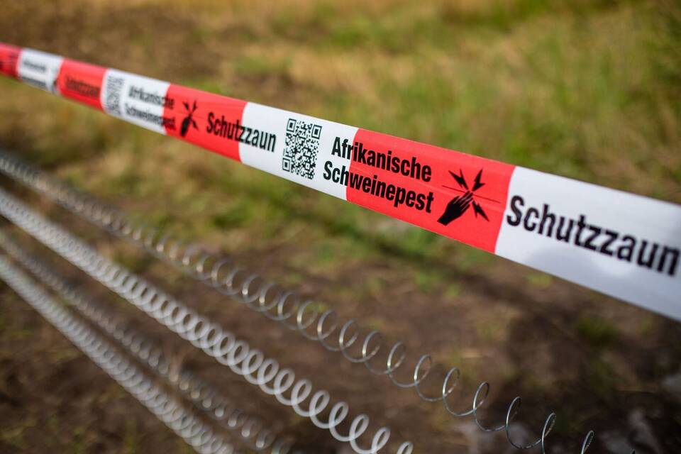 Schutzzäune gegen Afrikanische Schweinepest Schutzzäune gegen Afrikanische Schweinepest