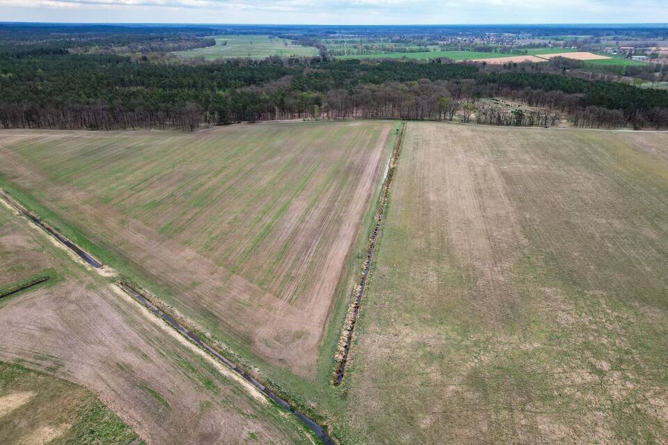 Trockenheit in Brandenburg